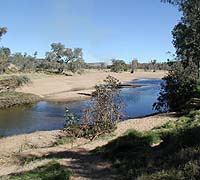 Wasser bei Alice Springs