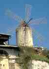 Windmühle in Palma